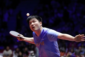 樊振东复出首秀出彩，广厦男篮主场惊险利雅得新月，豪取45连胜的简单介绍